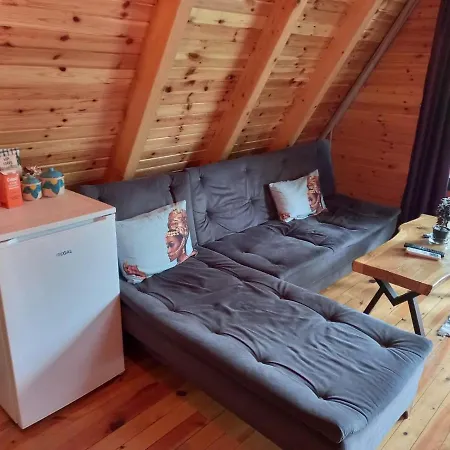 Peaceful Bungalow With Private Pool Surrounded By Nature In Sapanca Holiday home